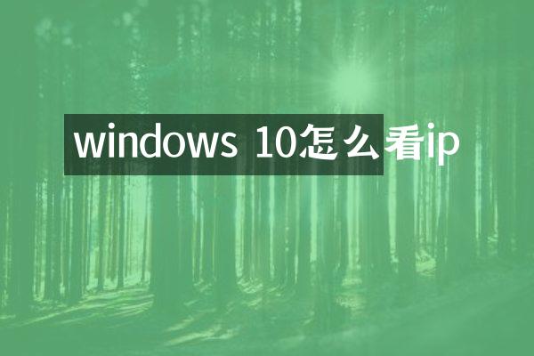 windows 10怎么看ip