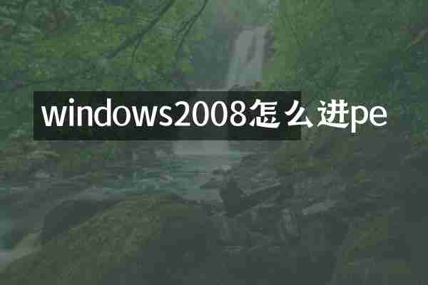 windows2008怎么进pe