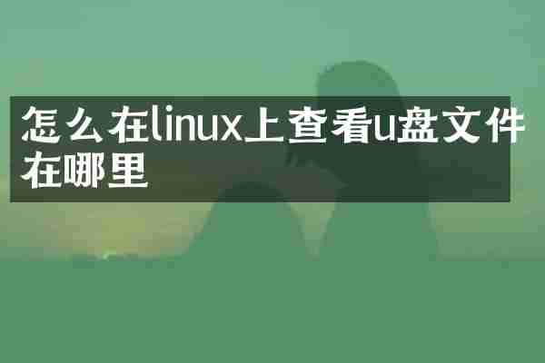 怎么在linux上查看u盘文件在哪里