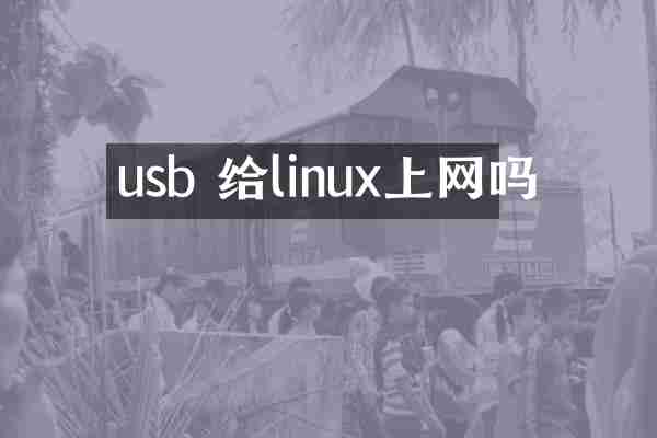 usb 给linux上网吗