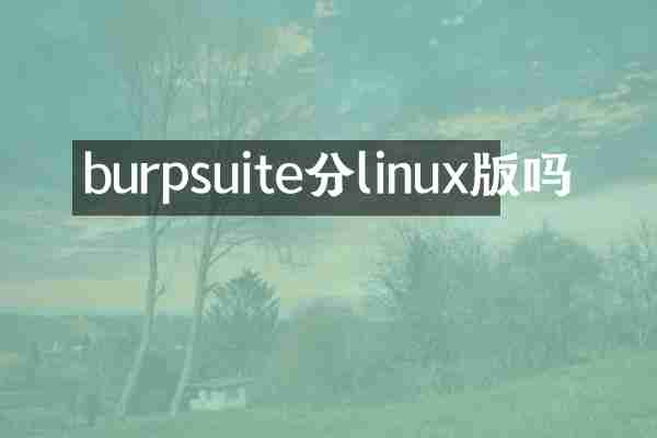 burpsuite分linux版吗