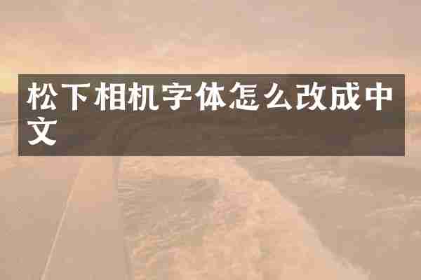 相机字体怎么改成中文