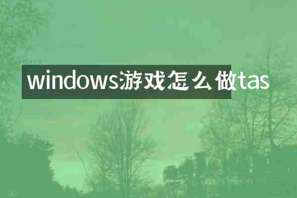 windows游戏怎么做tas