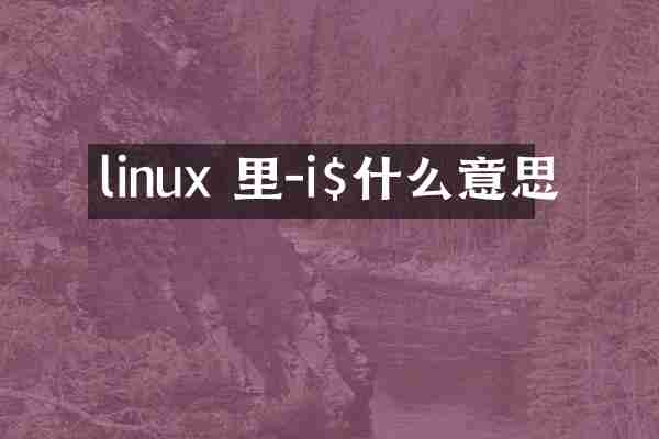 linux 里-i$什么意思