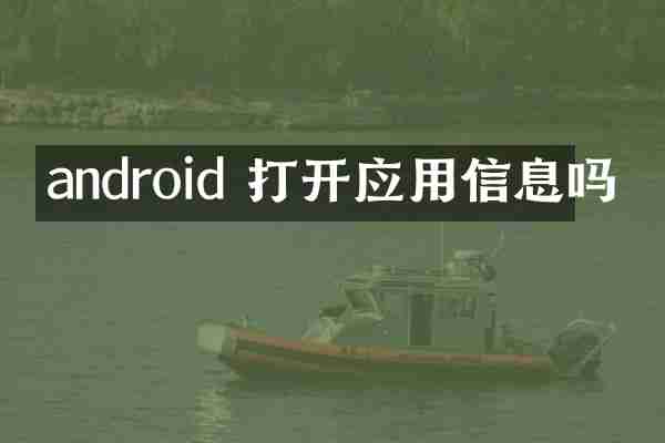 android 打开应用信息吗