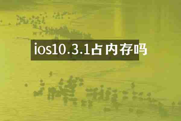 ios10.3.1占内存吗