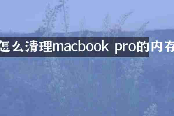 怎么清理macbook pro的内存