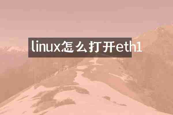 linux怎么打开eth1