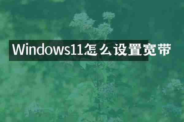 Windows11怎么设置宽带