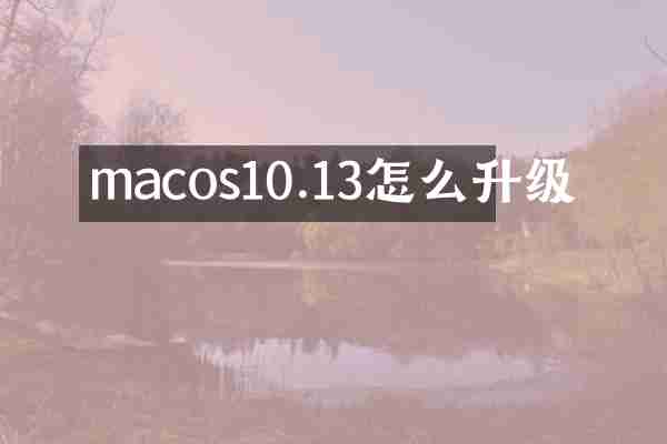 macos10.13怎么升级
