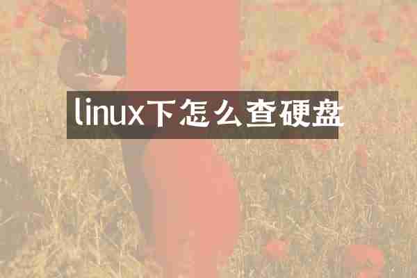 linux下怎么查硬盘