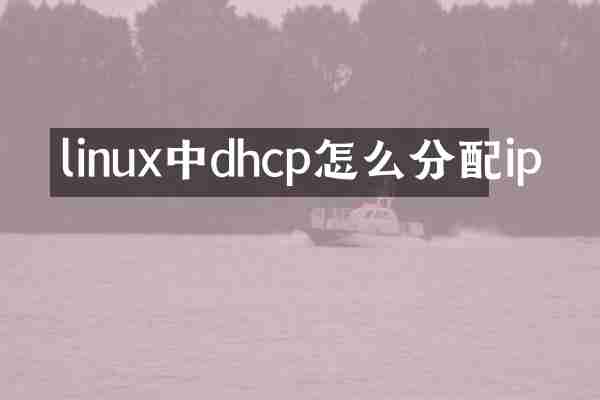 linux中dhcp怎么分配ip