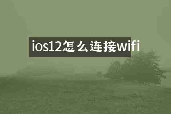 ios12怎么连接wifi
