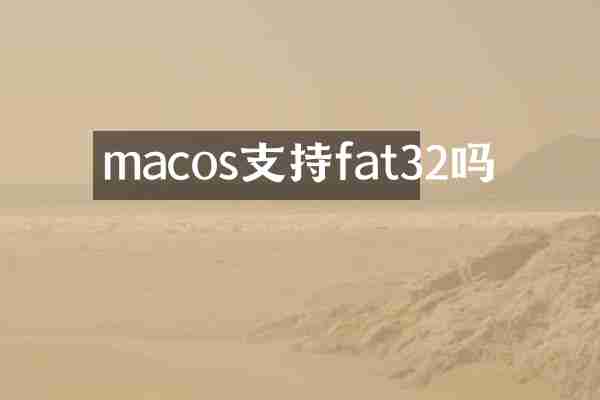 macos支持fat32吗