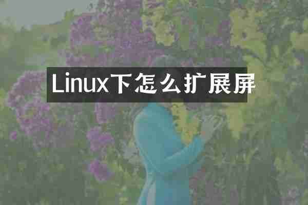 Linux下怎么扩展屏
