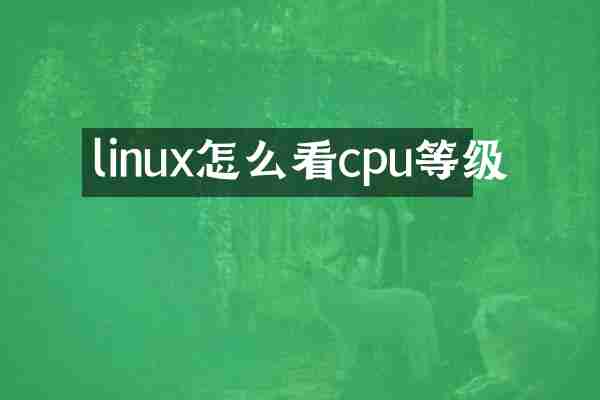 linux怎么看cpu等级