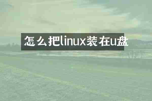 怎么把linux装在u盘