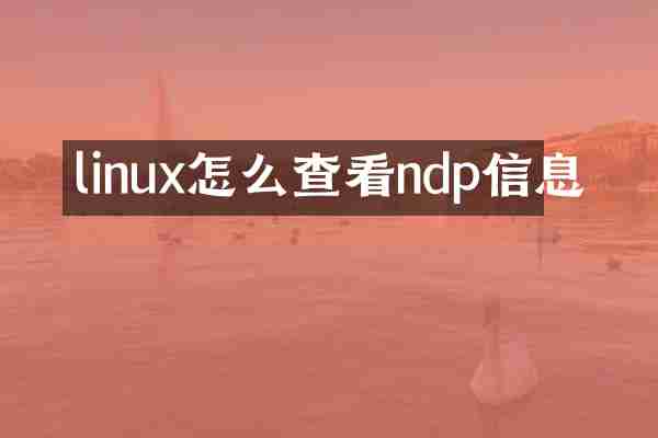 linux怎么查看ndp信息