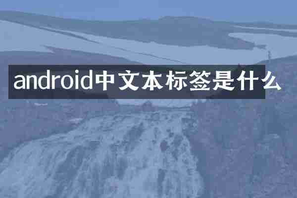 android中文本标签是什么