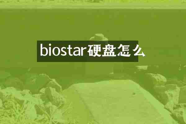 biostar硬盘怎么