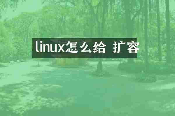 linux怎么给 扩容