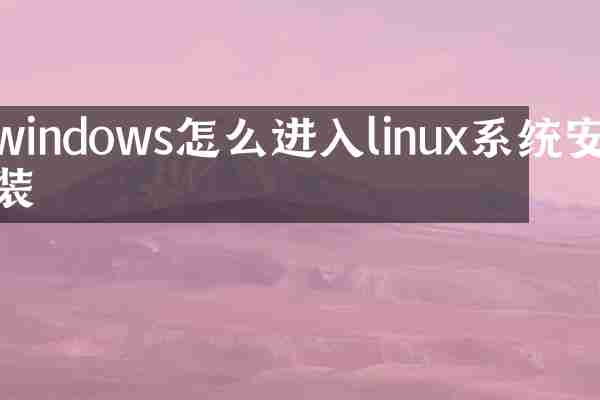 windows怎么进入linux系统安装