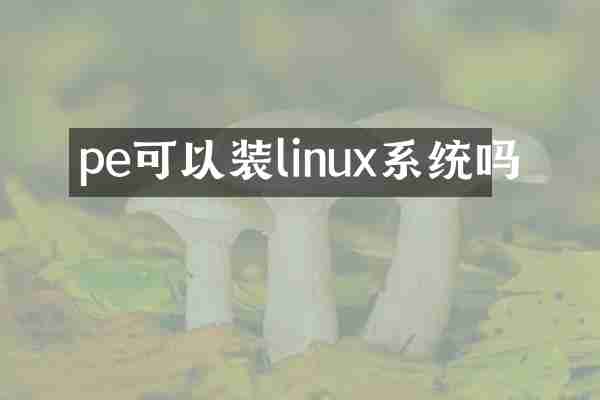 pe可以装linux系统吗
