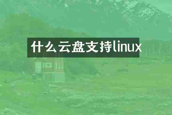 什么云盘支持linux