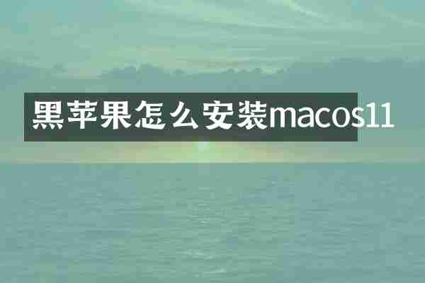 黑苹果怎么安装macos11