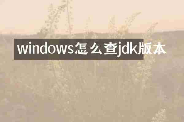 windows怎么查jdk版本